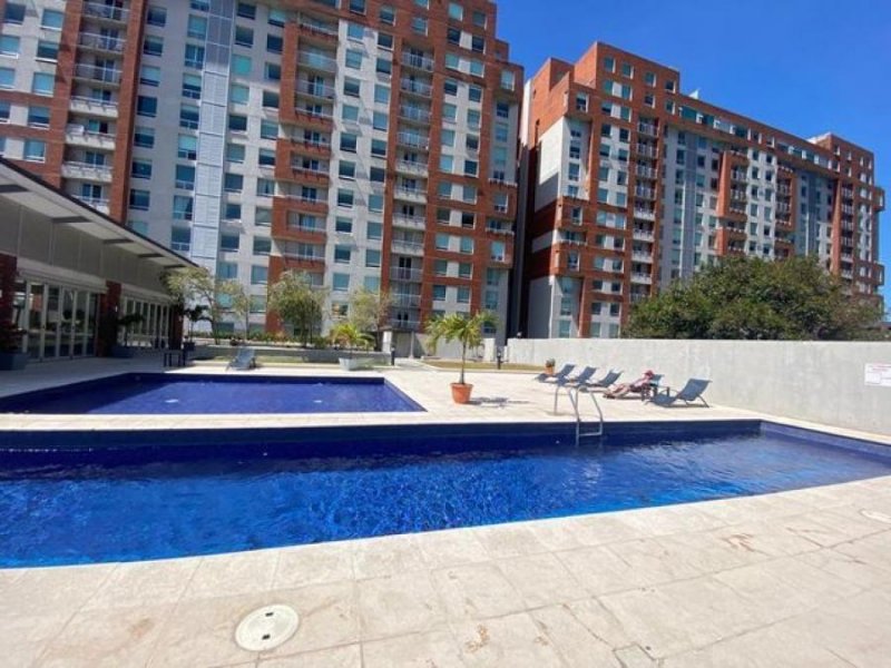 Apartamento en Alquiler en Don Bosco San José, San José