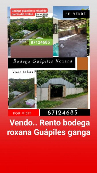 Foto Bodega en Venta en Guápiles, Limón - ¢ 15.000.000 - BOV41271 - BienesOnLine