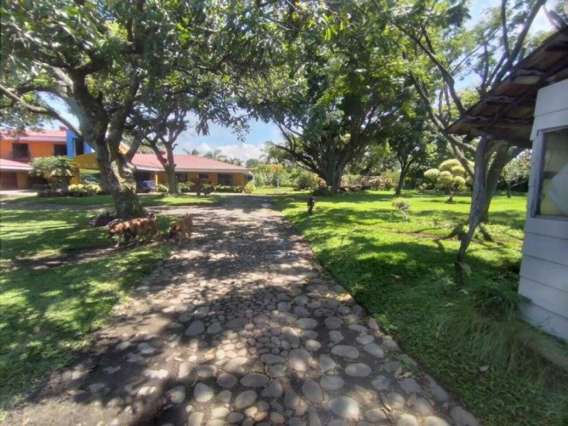 Casa en Venta en  San Antonio, Heredia