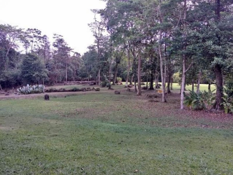Foto Terreno en Venta en Guapiles, Pococí, Limón - ¢ 79.000.000 - TEV37225 - BienesOnLine