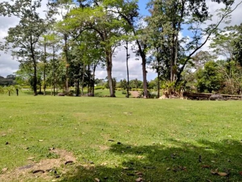 Foto Terreno en Venta en Guapiles, Pococí, Limón - ¢ 79.000.000 - TEV33398 - BienesOnLine