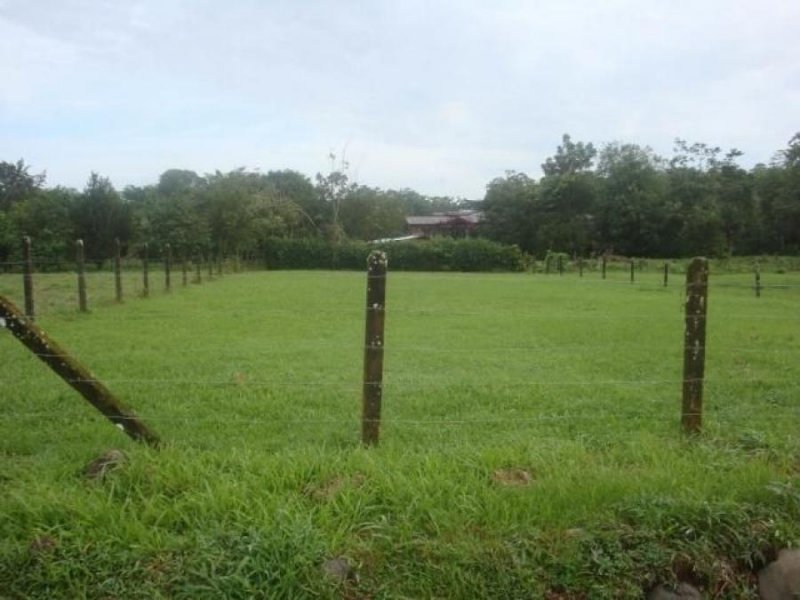 Foto Terreno en Venta en Guapiles, Pococí, Limón - ¢ 26.000.000 - TEV34728 - BienesOnLine