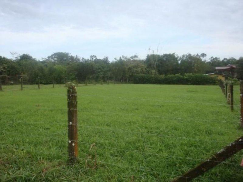 Foto Terreno en Venta en Guapiles, Pococí, Limón - ¢ 26.000.000 - TEV35908 - BienesOnLine