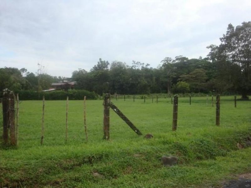 Foto Terreno en Venta en Guapiles, Pococí, Limón - ¢ 26.000.000 - TEV31058 - BienesOnLine