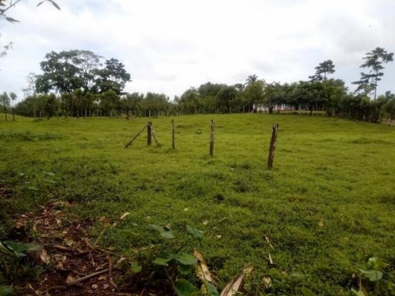 Foto Terreno en Venta en Guapiles, Pococí, Limón - U$D 80.000.000 - TEV31527 - BienesOnLine