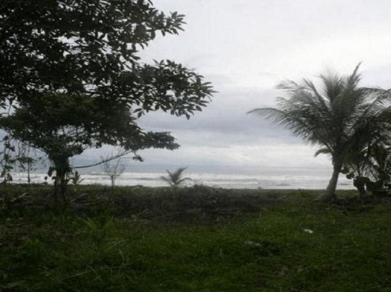 Foto Terreno en Venta en Guapiles, Pococí, Limón - ¢ 470.000.000 - TEV32655 - BienesOnLine