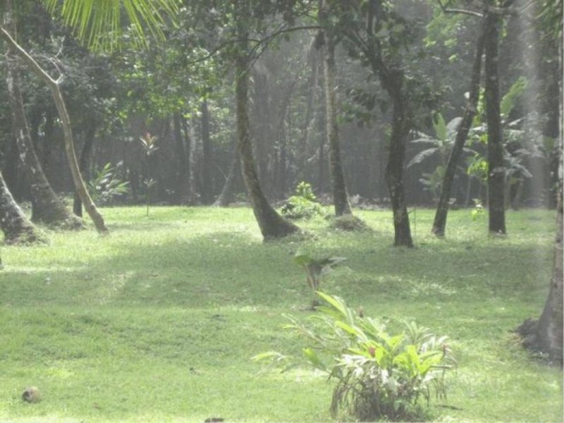 Foto Terreno en Venta en Guapiles, Pococí, Limón - ¢ 565.000.000 - TEV33716 - BienesOnLine