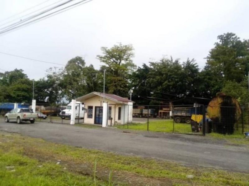 Foto Terreno en Venta en Guapiles, Pococí, Limón - ¢ 105.000.000 - TEV33543 - BienesOnLine