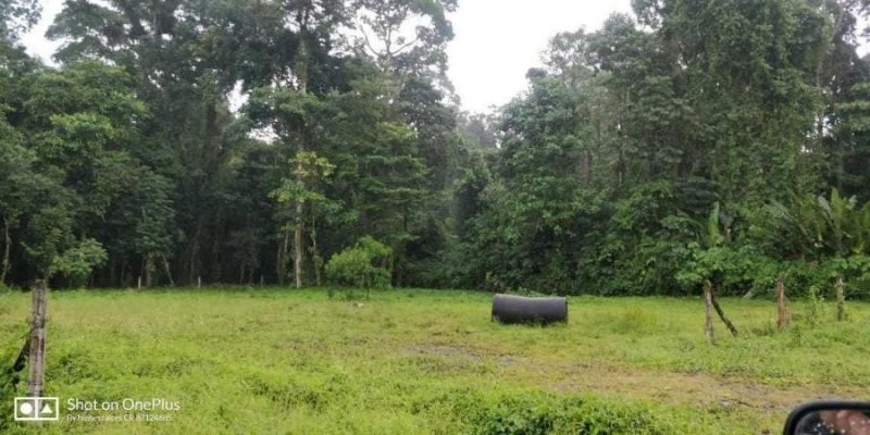 Foto Terreno en Venta en Guapiles, Pococí, Limón - ¢ 17.000.000 - TEV33154 - BienesOnLine