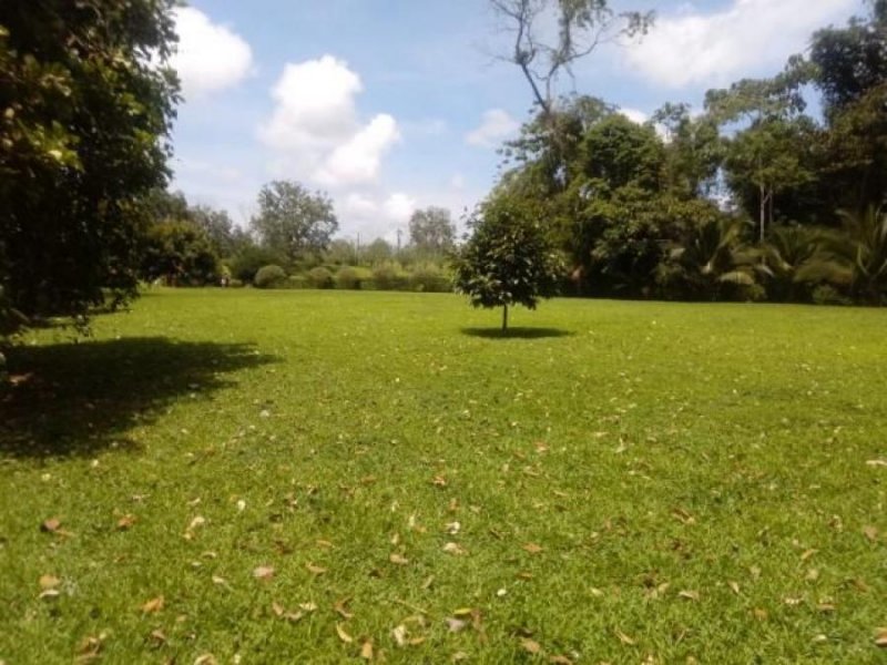 Foto Terreno en Venta en SCLaFortuna, San Carlos, Alajuela - ¢ 120.000.000 - TEV37257 - BienesOnLine