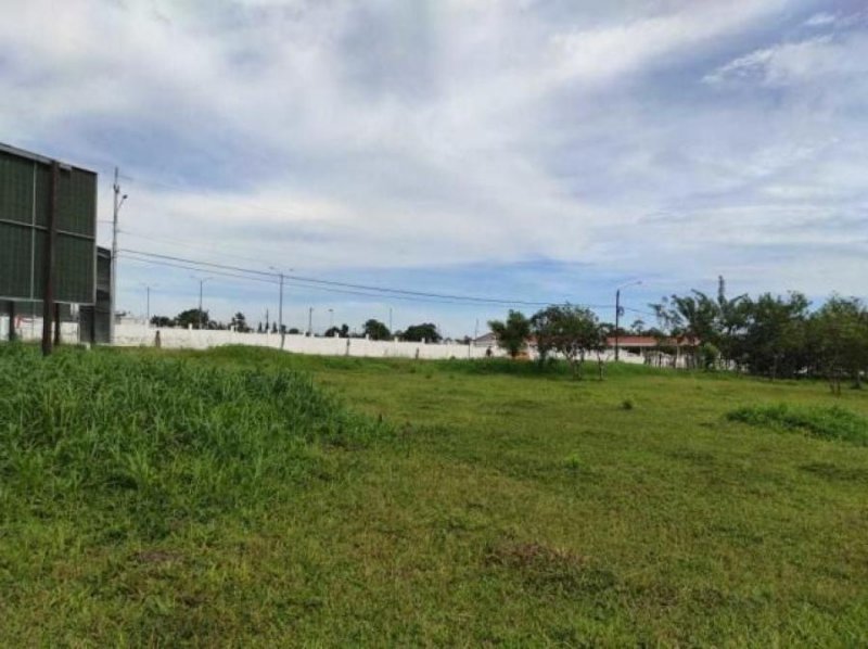 Foto Terreno en Venta en Guapiles, Pococí, Limón - ¢ 400.000.000 - TEV33687 - BienesOnLine