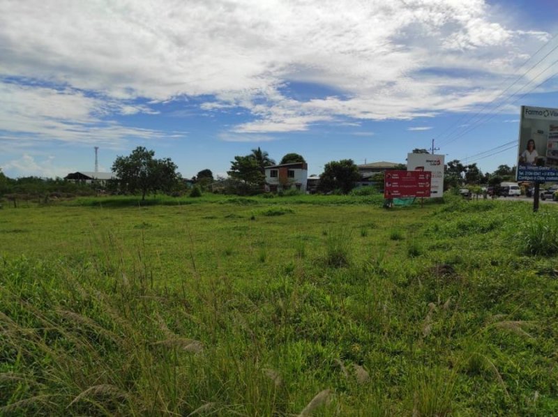 Foto Terreno en Venta en Guapiles, Pococí, Limón - U$D 680.000 - TEV30317 - BienesOnLine