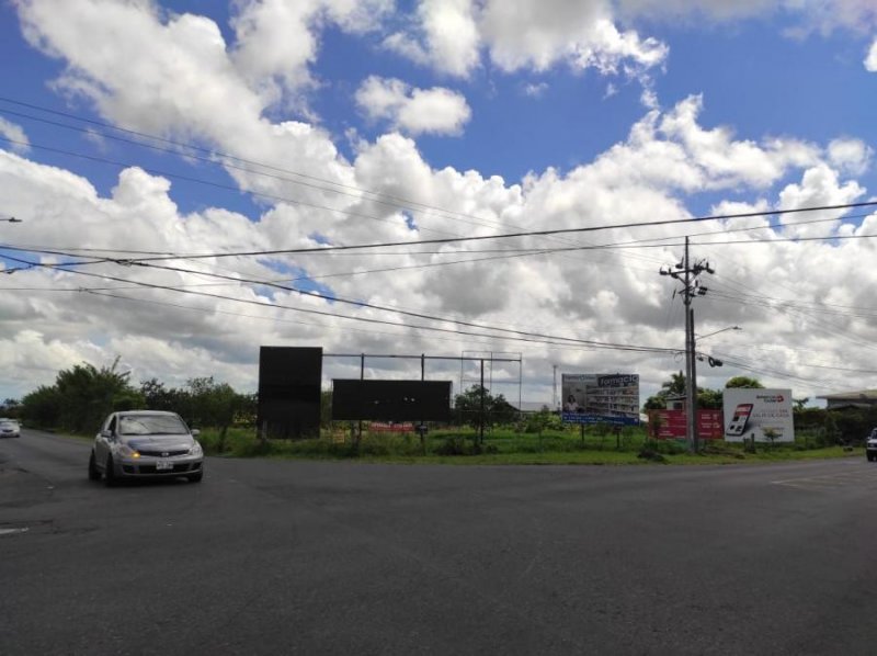 Foto Terreno en Venta en Guapiles, Pococí, Limón - ¢ 410.000.000 - TEV32646 - BienesOnLine