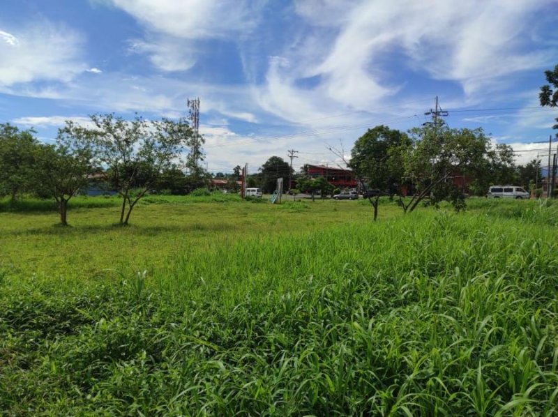 Foto Terreno en Venta en Guapiles, Pococí, Limón - ¢ 385.000.000 - TEV31531 - BienesOnLine