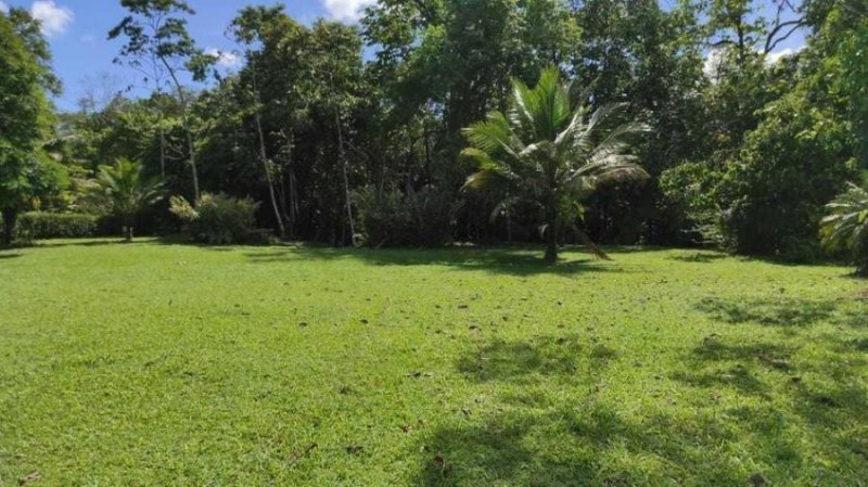 Foto Terreno en Venta en Guapiles, Pococí, Limón - ¢ 60.000.000 - TEV35133 - BienesOnLine