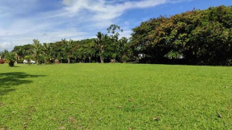 Foto Terreno en Venta en Guapiles, Pococí, Limón - ¢ 62.000.000 - TEV37211 - BienesOnLine