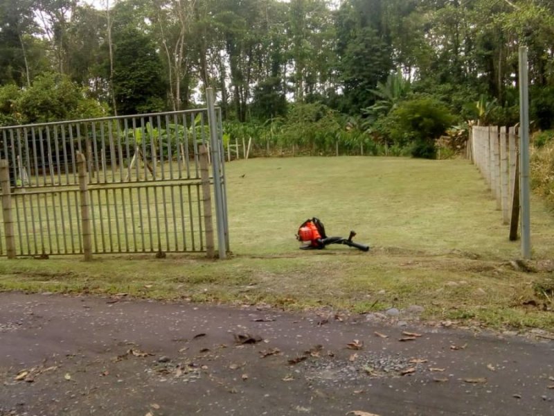 Foto Terreno en Venta en Guapiles, Pococí, Limón - ¢ 8.500.000 - TEV31471 - BienesOnLine
