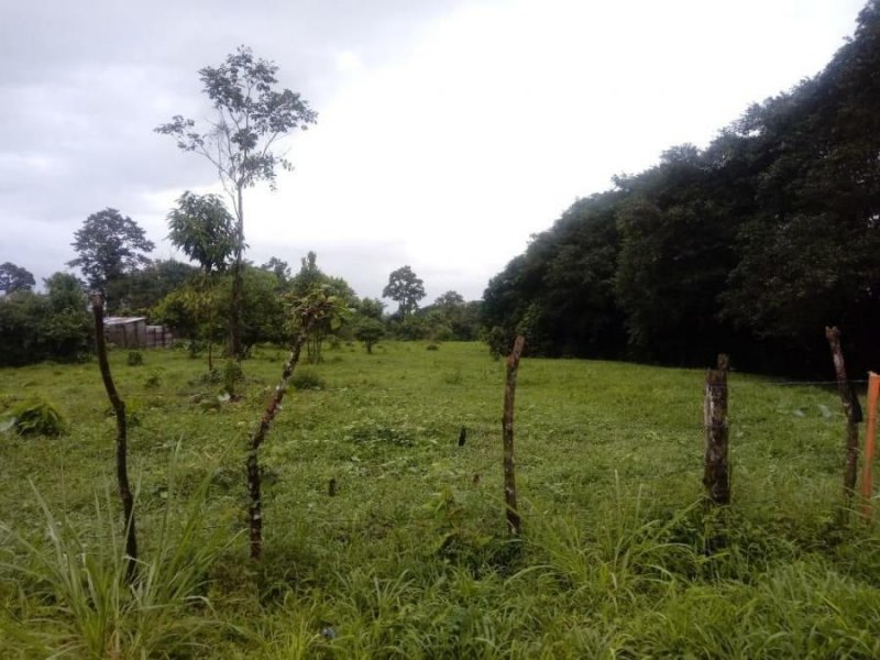 Foto Terreno en Venta en Guapiles, Pococí, Limón - ¢ 12.500.000 - TEV33124 - BienesOnLine