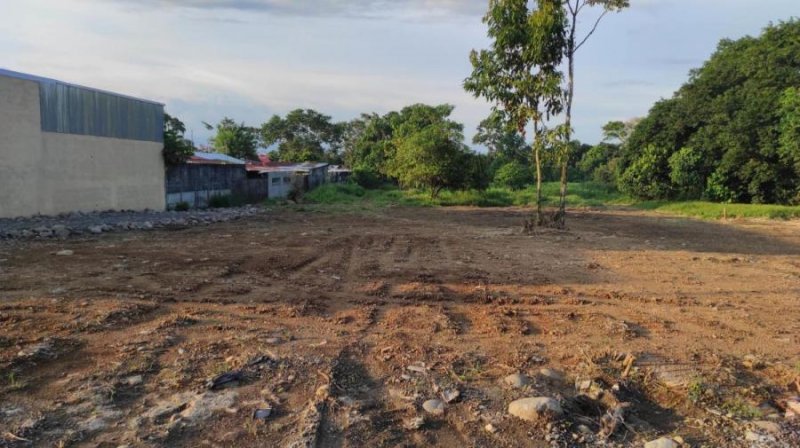 Foto Terreno en Venta en Guapiles, Pococí, Limón - ¢ 12.500.000 - TEV37401 - BienesOnLine