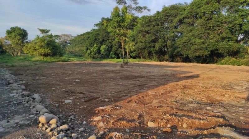 Foto Terreno en Venta en Guapiles, Pococí, Limón - ¢ 11.000.000 - TEV35749 - BienesOnLine