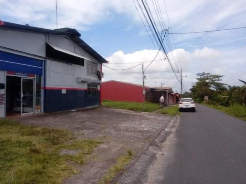Foto Local en Venta en Guapiles, Pococí, Limón - ¢ 160.000.000 - LOV31369 - BienesOnLine