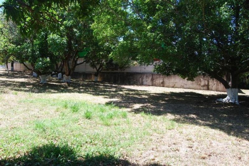 Foto Terreno en Venta en SantaAna, Santa Ana, San José - ¢ 380.000.000 - TEV34084 - BienesOnLine