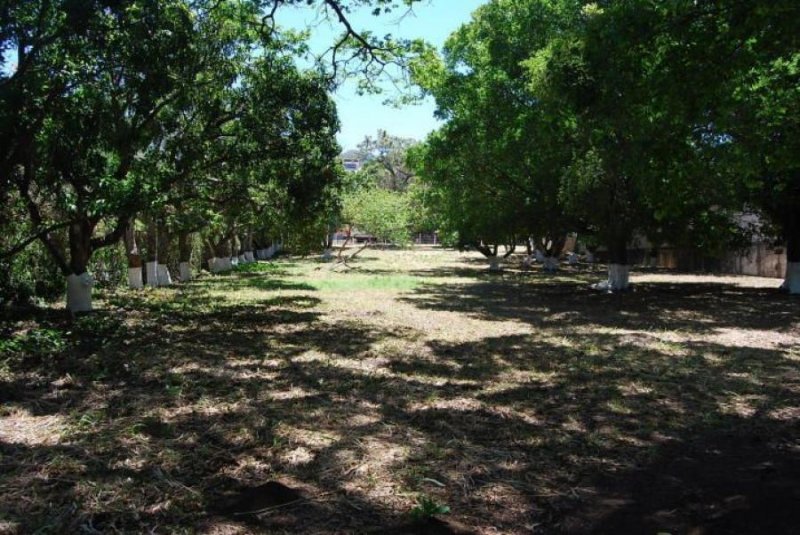 Foto Terreno en Venta en SantaAnaPozos, Santa Ana, San José - U$D 614.000 - TEV29914 - BienesOnLine
