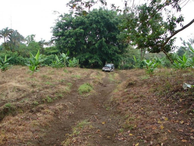 Foto Terreno en Venta en SCLaFortuna, San Carlos, Alajuela - U$D 580.000 - TEV33057 - BienesOnLine