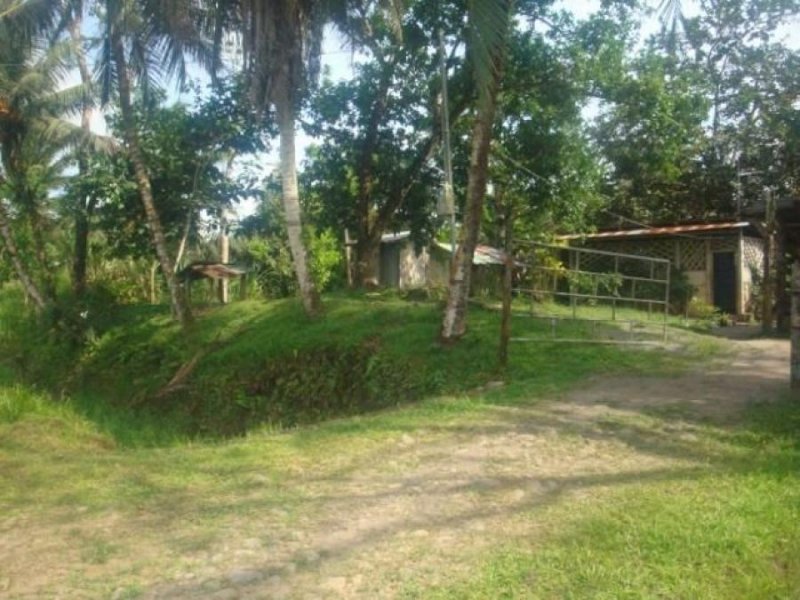 Foto Terreno en Venta en Guapiles, Pococí, Limón - U$D 1.000.000 - TEV30331 - BienesOnLine