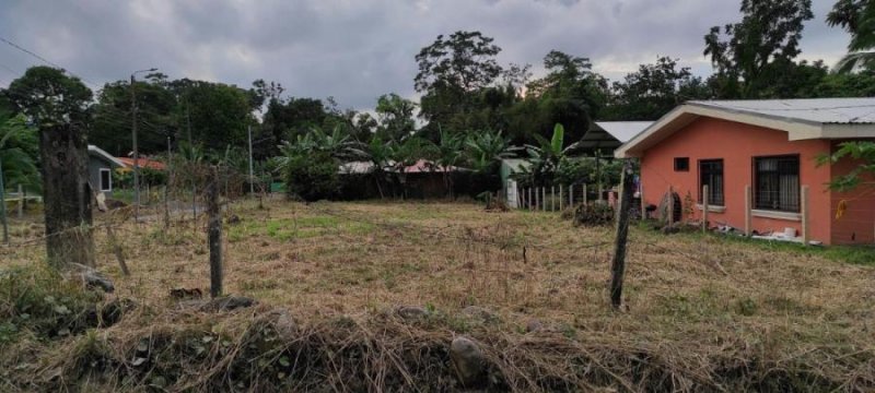 Foto Terreno en Venta en Guapiles, Pococí, Limón - ¢ 21.000.000 - TEV35127 - BienesOnLine
