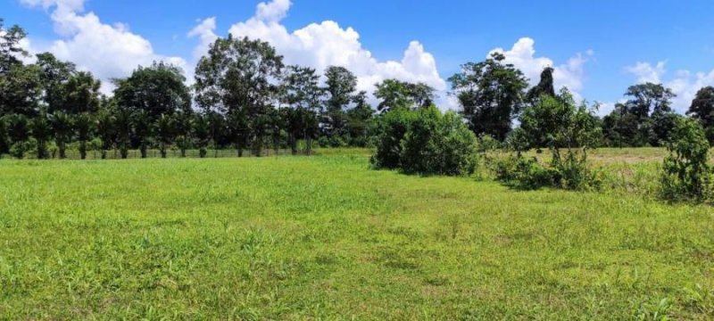 Foto Terreno en Venta en Guapiles, Pococí, Limón - U$D 65.000.000 - TEV31523 - BienesOnLine