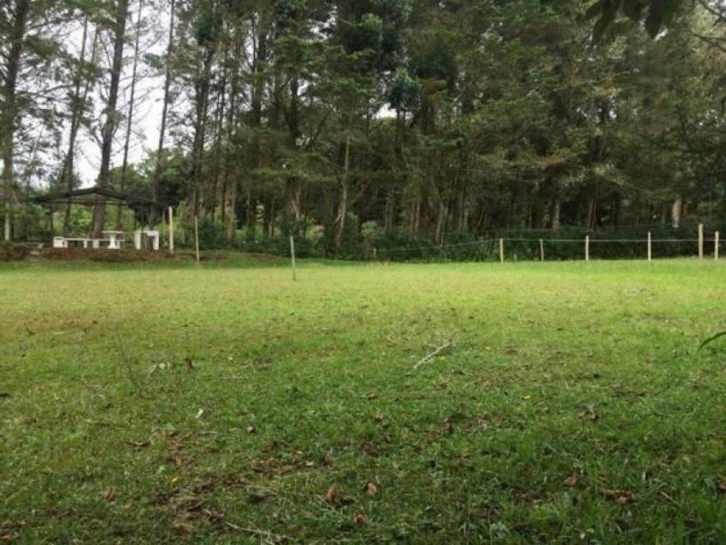 Foto Terreno en Venta en DotaDelJardin, Dota, San José - ¢ 12.000.000 - TEV36248 - BienesOnLine