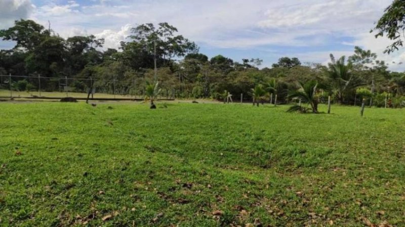 Foto Terreno en Venta en PocoJimenez, Pococí, Limón - ¢ 25.000.000 - TEV37084 - BienesOnLine
