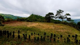 Terreno en Venta en Barú Perez Zeledón, San José
