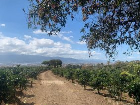 Finca en Venta en Concepción San Rafael, Heredia