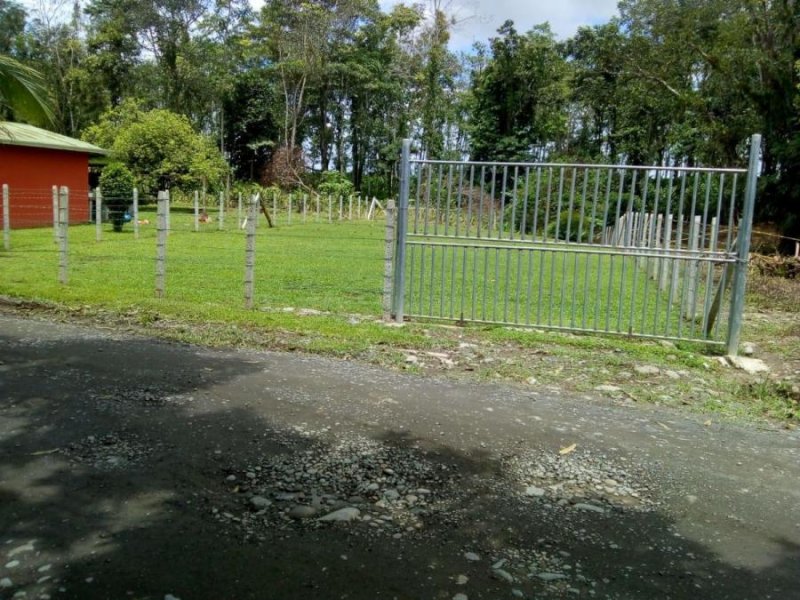 Foto Terreno en Venta en Guapiles, Pococí, Limón - ¢ 8.500.000 - TEV38663 - BienesOnLine