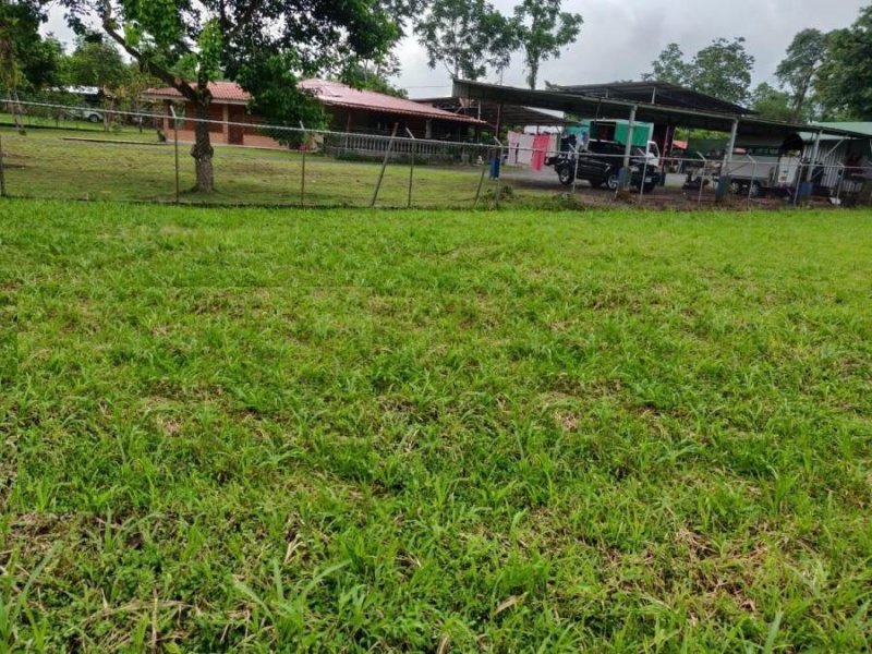 Foto Terreno en Venta en Guapiles, Pococí, Limón - U$D 21.000 - TEV42622 - BienesOnLine