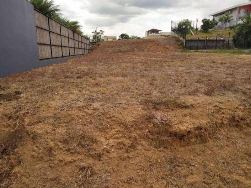 Terreno en Venta en Grecia Grecia, Alajuela