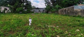 Terreno en Venta en Lomas de Guapiles Pococí, Limón