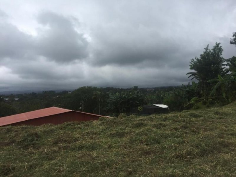 Terreno en Venta en San Juan Poás, Alajuela