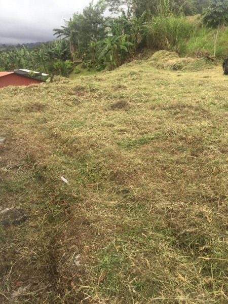 Terreno en Venta en SanJuan Poás, Alajuela