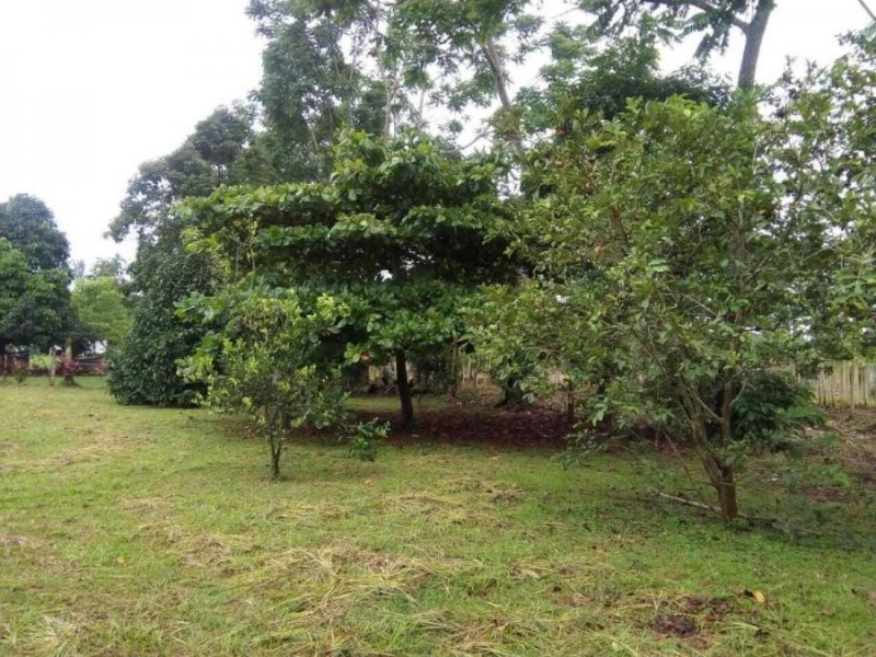Terreno en Venta en SCMuelle San Carlos, Alajuela