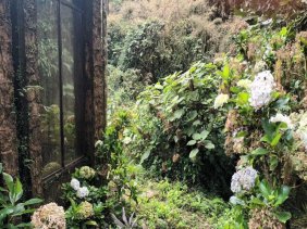 Finca en Venta en Monserrat Cascajal, San José