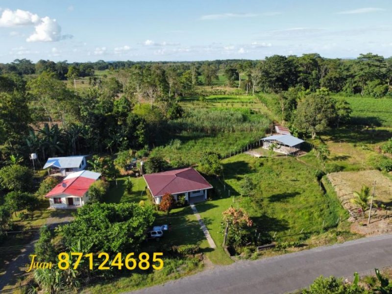 Foto Casa en Venta en Santa Rosa, Pococí, Limón - ¢ 43.000.000 - CAV54695 - BienesOnLine