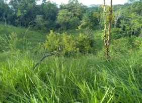 Finca en Venta en Corredores Corredores, Puntarenas