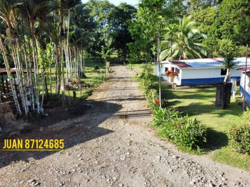 Foto Finca en Venta en Hilda, Rita, Limón - ¢ 85.000.000 - FIV54560 - BienesOnLine