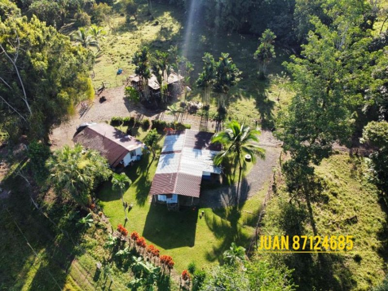 Foto Finca en Venta en Hikda, Rita, Limón - ¢ 85.000.000 - FIV54561 - BienesOnLine