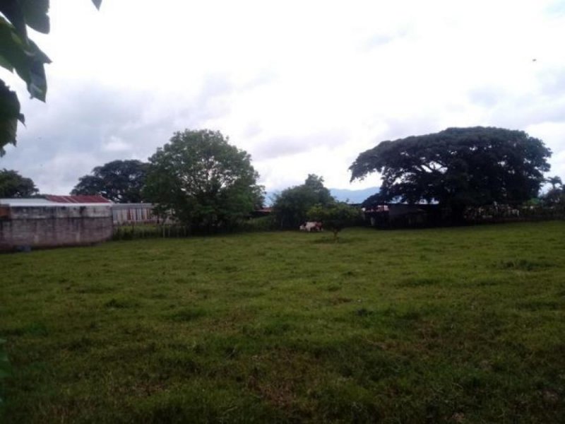 Terreno en Venta en ALAAlajuelaCentro Alajuela, Alajuela