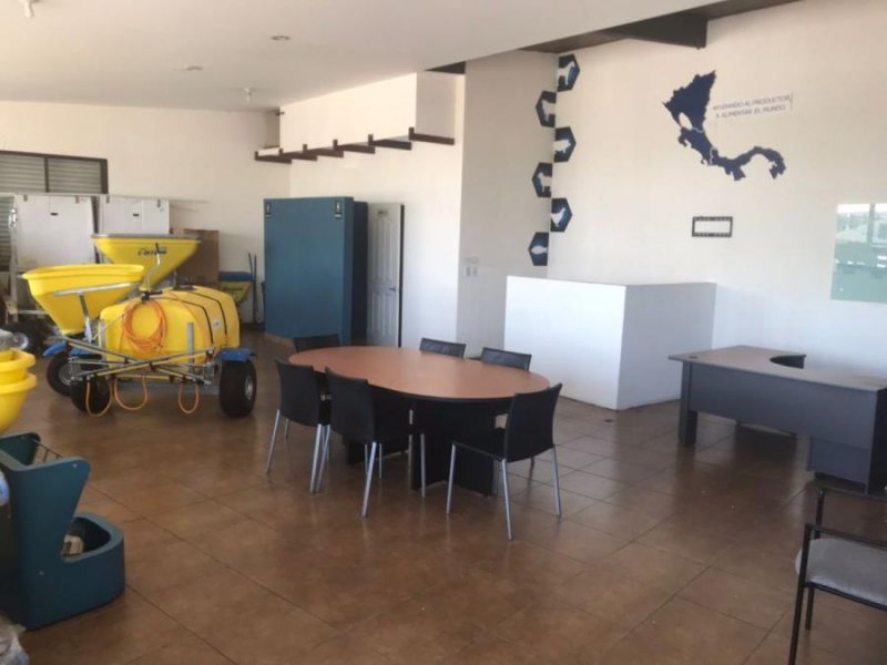 Local en Alquiler en  Zapote, San José