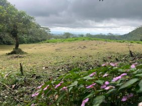 Terreno en Venta en  Quesada, Alajuela